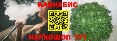 МДПВ Камышлов