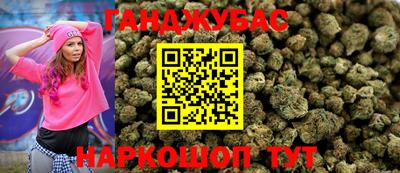 МДПВ Камышлов